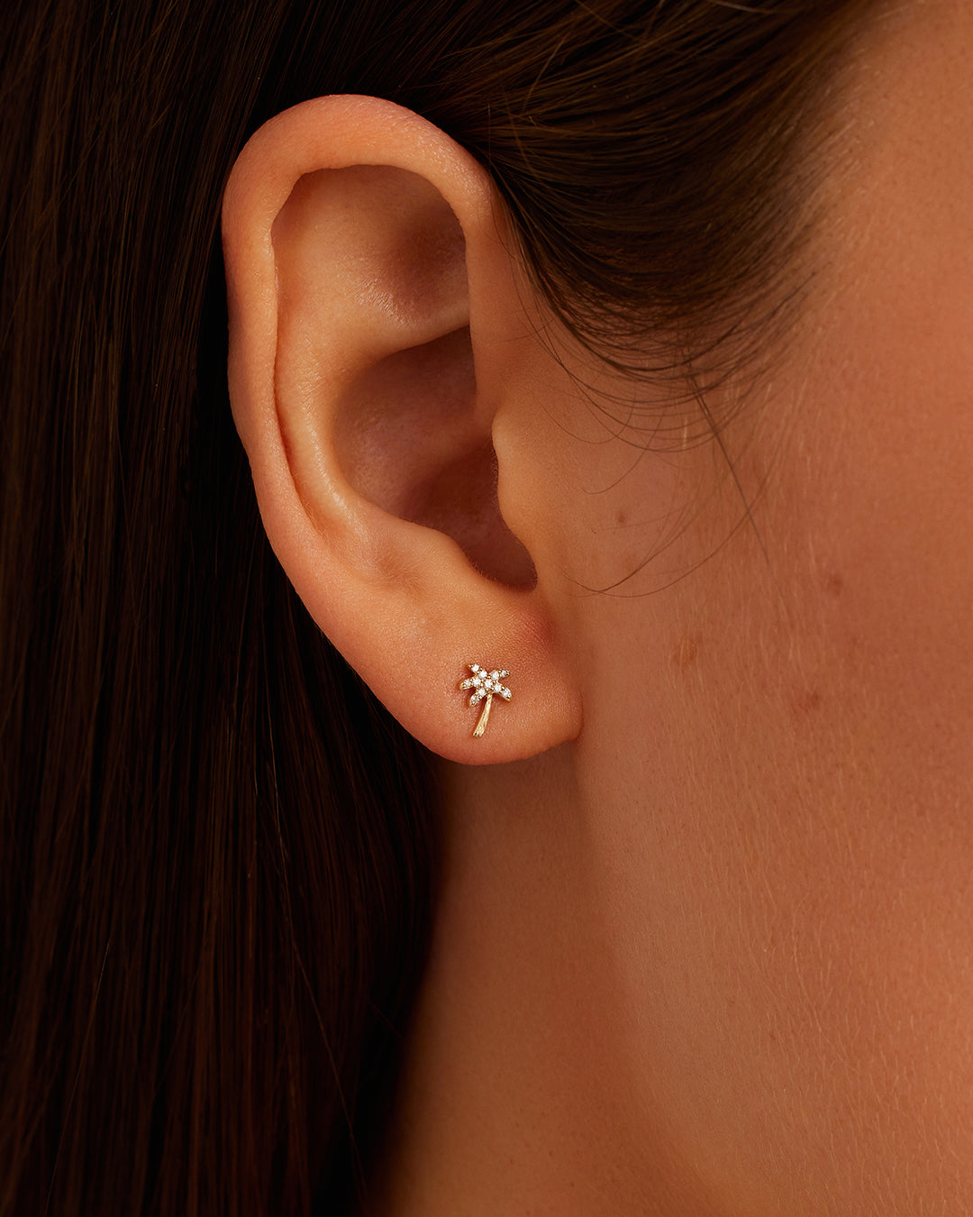 Alternative view of Diamond Palm Studs