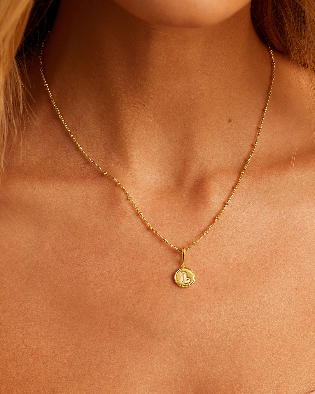 Alternative view of Zodiac Parker Charm