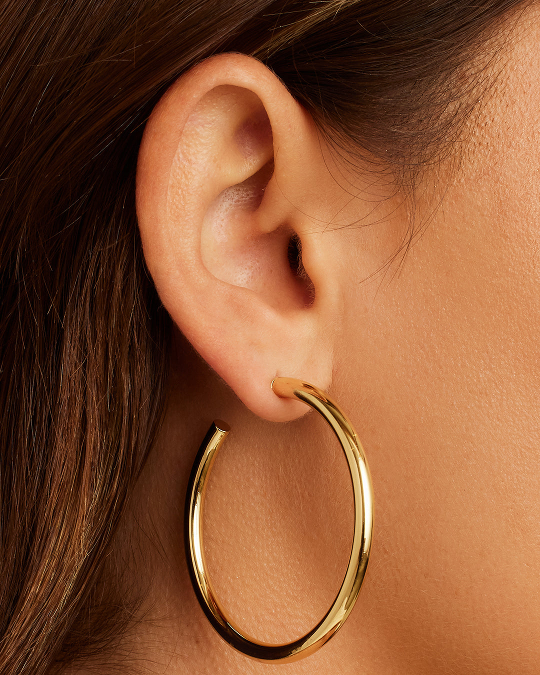 Alternative view of Carter Statement Hoops