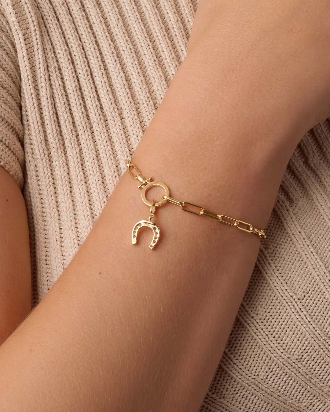 Alternative view of Horseshoe Parker Charm