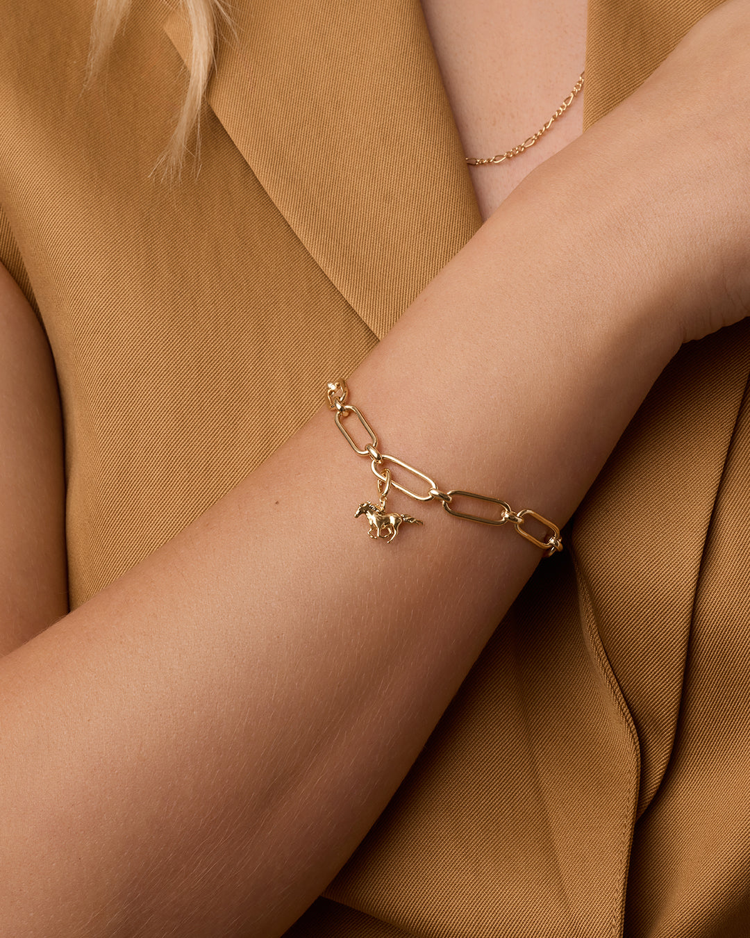 Alternative view of Horse Parker Charm