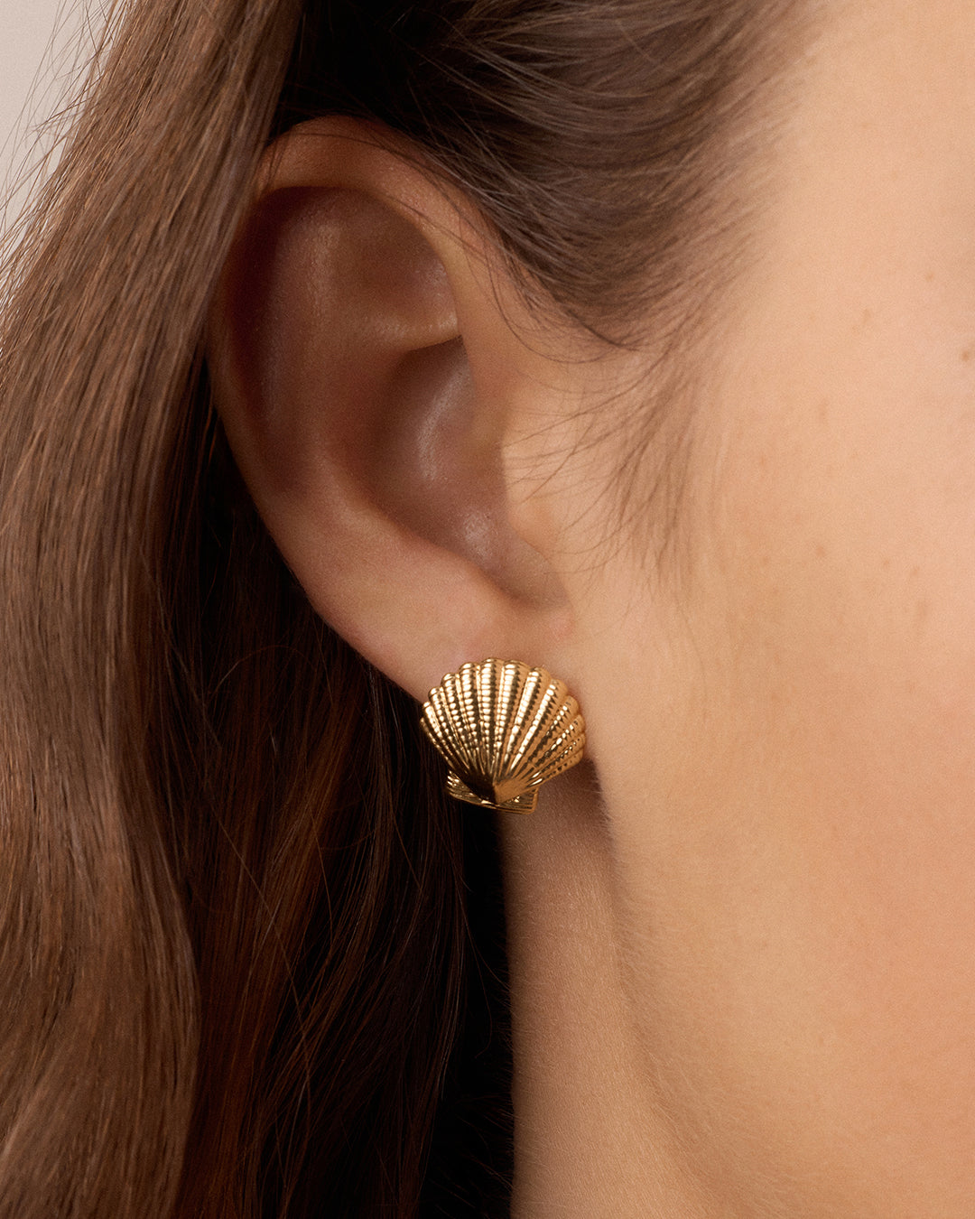 Alternative view of Shell Statement Studs